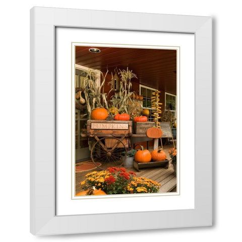Autumn Harvest I White Modern Wood Framed Art Print with Double Matting by Clayton-Thompson, Philip
