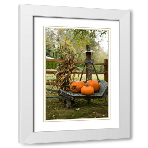 Autumn Harvest II White Modern Wood Framed Art Print with Double Matting by Clayton-Thompson, Philip