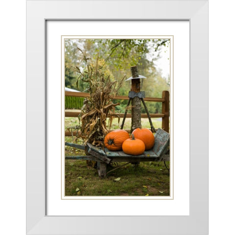 Autumn Harvest II White Modern Wood Framed Art Print with Double Matting by Clayton-Thompson, Philip