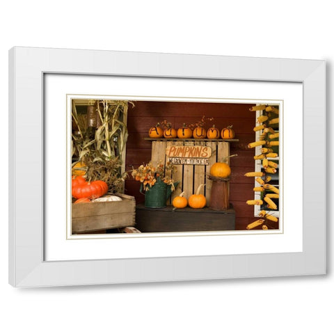 Autumn Harvest III White Modern Wood Framed Art Print with Double Matting by Clayton-Thompson, Philip
