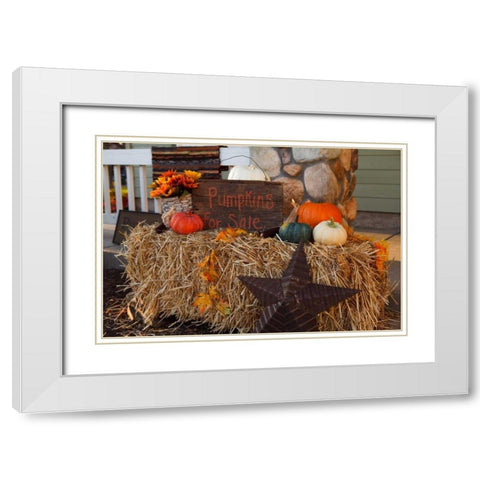 Autumn Harvest IV White Modern Wood Framed Art Print with Double Matting by Clayton-Thompson, Philip