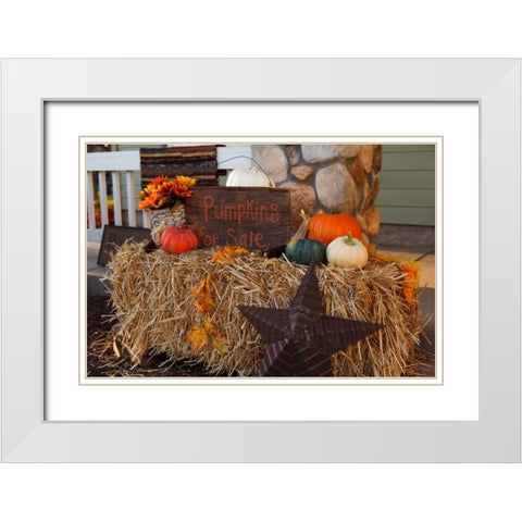 Autumn Harvest IV White Modern Wood Framed Art Print with Double Matting by Clayton-Thompson, Philip