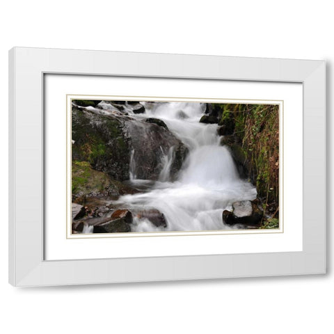 Stream Falls IV White Modern Wood Framed Art Print with Double Matting by Thomas, Logan