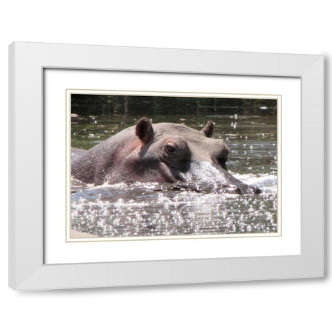 Hippo I White Modern Wood Framed Art Print with Double Matting by Underdahl, Dana