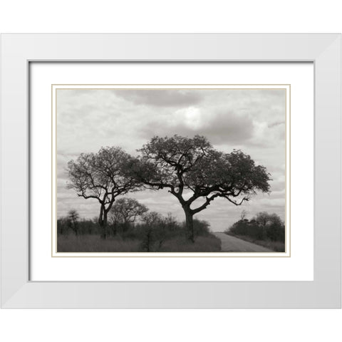 Tree II White Modern Wood Framed Art Print with Double Matting by Underdahl, Dana
