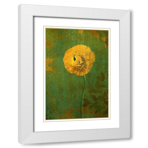Yellow Renunculus White Modern Wood Framed Art Print with Double Matting by Geyman, Vitaly