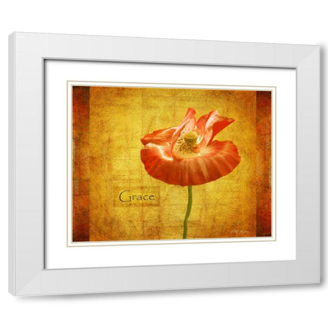 Velvet Poppy Grace White Modern Wood Framed Art Print with Double Matting by Geyman, Vitaly
