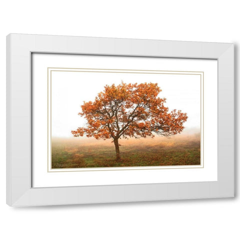 Burning Oak White Modern Wood Framed Art Print with Double Matting by Geyman, Vitaly