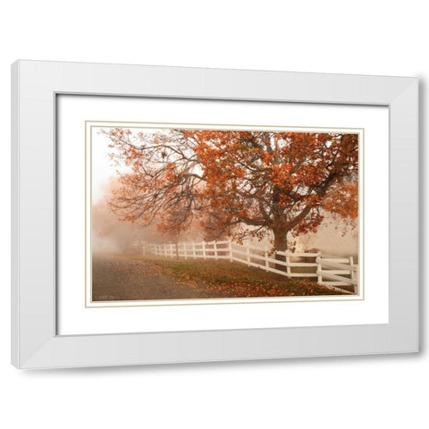 Misty Romance White Modern Wood Framed Art Print with Double Matting by Geyman, Vitaly