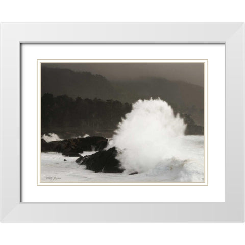 Sea Fan White Modern Wood Framed Art Print with Double Matting by Geyman, Vitaly