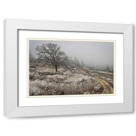 Winter Serenity White Modern Wood Framed Art Print with Double Matting by Geyman, Vitaly