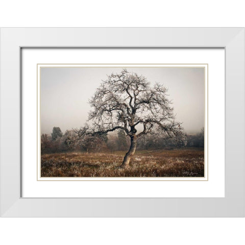 Frosty Tree White Modern Wood Framed Art Print with Double Matting by Geyman, Vitaly