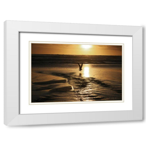 Sunset Bird White Modern Wood Framed Art Print with Double Matting by Geyman, Vitaly