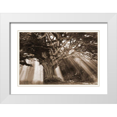 Moses Tree White Modern Wood Framed Art Print with Double Matting by Geyman, Vitaly