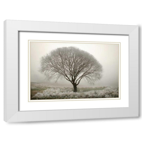 Tranquility II White Modern Wood Framed Art Print with Double Matting by Geyman, Vitaly