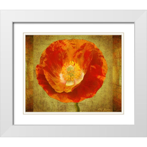 Sun Poppy I White Modern Wood Framed Art Print with Double Matting by Geyman, Vitaly