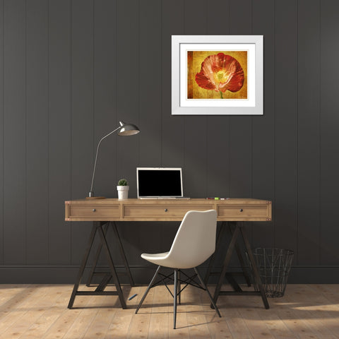 Sun Poppy II White Modern Wood Framed Art Print with Double Matting by Geyman, Vitaly