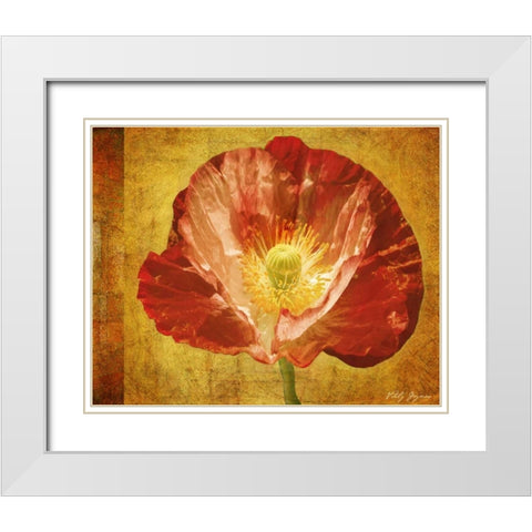 Sun Poppy II White Modern Wood Framed Art Print with Double Matting by Geyman, Vitaly
