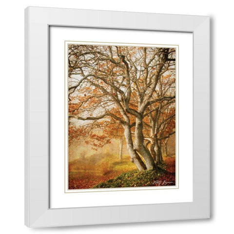 In the Mist II White Modern Wood Framed Art Print with Double Matting by Geyman, Vitaly