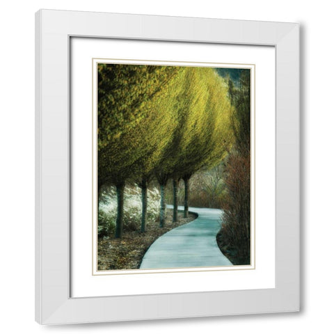 Evening Glow I White Modern Wood Framed Art Print with Double Matting by Geyman, Vitaly