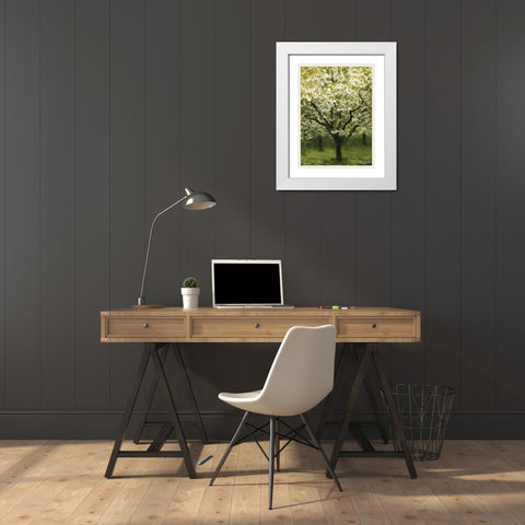 White Cherry Tree I White Modern Wood Framed Art Print with Double Matting by Geyman, Vitaly