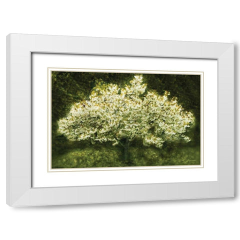 White Cherry Tree II White Modern Wood Framed Art Print with Double Matting by Geyman, Vitaly