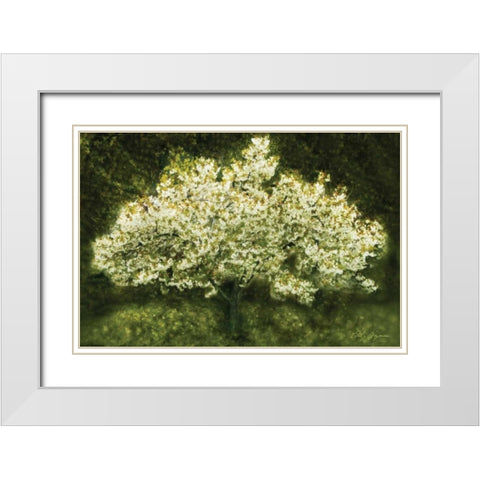 White Cherry Tree II White Modern Wood Framed Art Print with Double Matting by Geyman, Vitaly