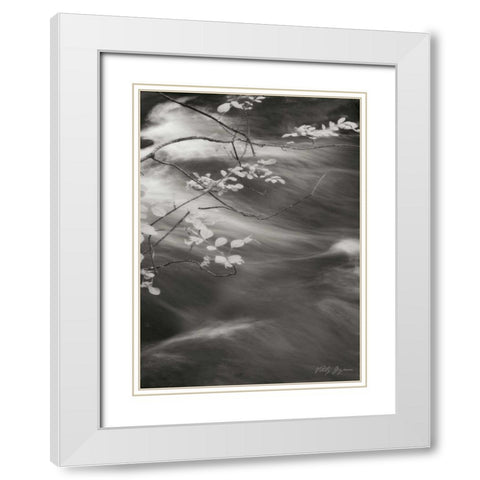 Flowing Waters IV White Modern Wood Framed Art Print with Double Matting by Geyman, Vitaly
