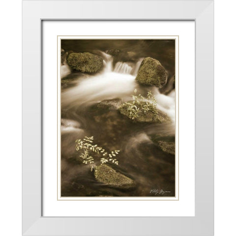 Sepia Waters II White Modern Wood Framed Art Print with Double Matting by Geyman, Vitaly