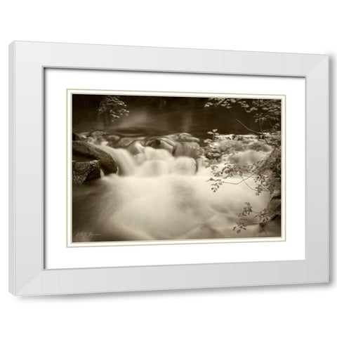 Sepia Waters IV White Modern Wood Framed Art Print with Double Matting by Geyman, Vitaly