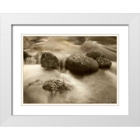 Sepia Waters VI White Modern Wood Framed Art Print with Double Matting by Geyman, Vitaly