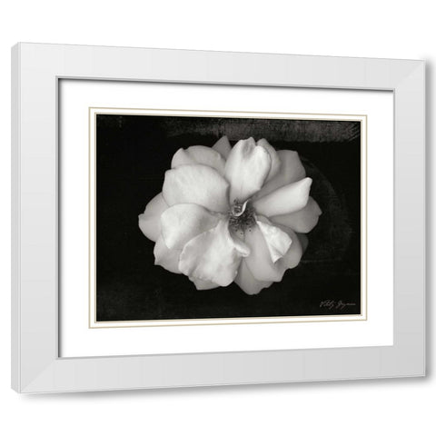 Wild Rose White Modern Wood Framed Art Print with Double Matting by Geyman, Vitaly