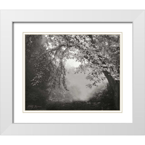 Misty Arch Tree BandW White Modern Wood Framed Art Print with Double Matting by Geyman, Vitaly