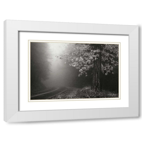 Misty Yellow Tree BandW White Modern Wood Framed Art Print with Double Matting by Geyman, Vitaly