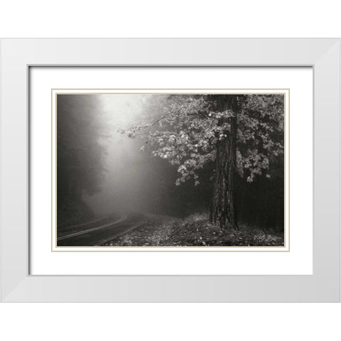 Misty Yellow Tree BandW White Modern Wood Framed Art Print with Double Matting by Geyman, Vitaly