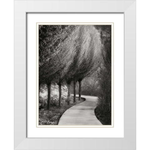 Evening Glow I BandW White Modern Wood Framed Art Print with Double Matting by Geyman, Vitaly
