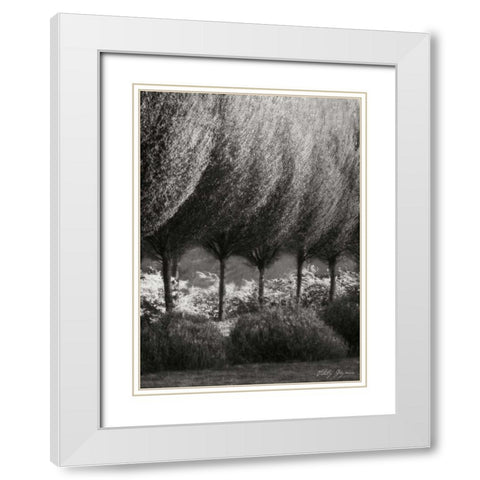 Evening Glow II BandW White Modern Wood Framed Art Print with Double Matting by Geyman, Vitaly