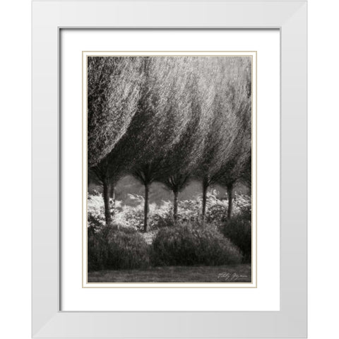 Evening Glow II BandW White Modern Wood Framed Art Print with Double Matting by Geyman, Vitaly