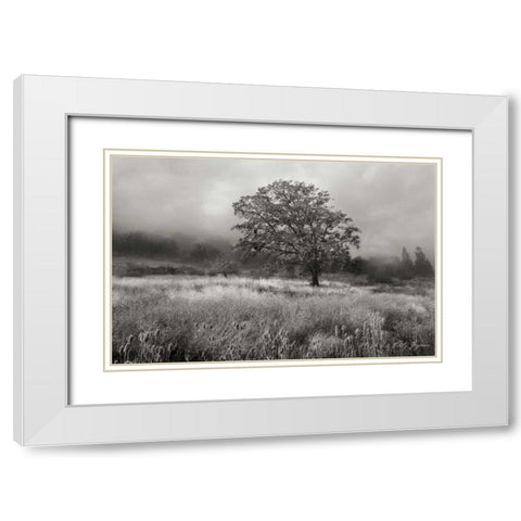 Field of Gold BandW White Modern Wood Framed Art Print with Double Matting by Geyman, Vitaly