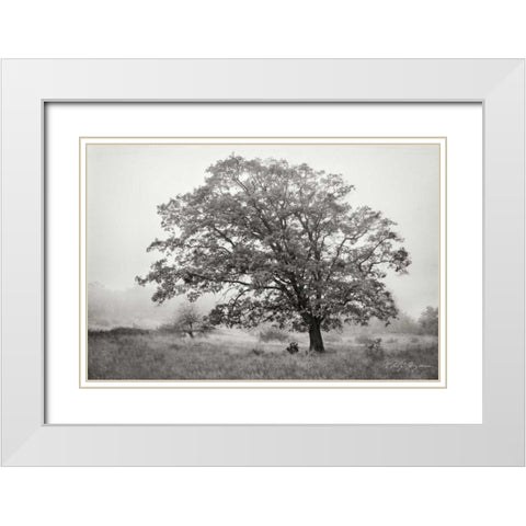Burning Oak V BandW White Modern Wood Framed Art Print with Double Matting by Geyman, Vitaly