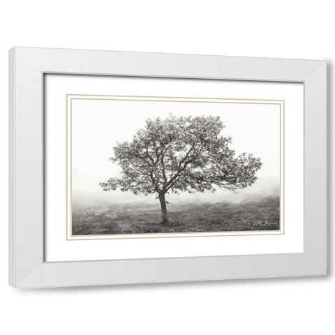 Burning Oak I BandW White Modern Wood Framed Art Print with Double Matting by Geyman, Vitaly