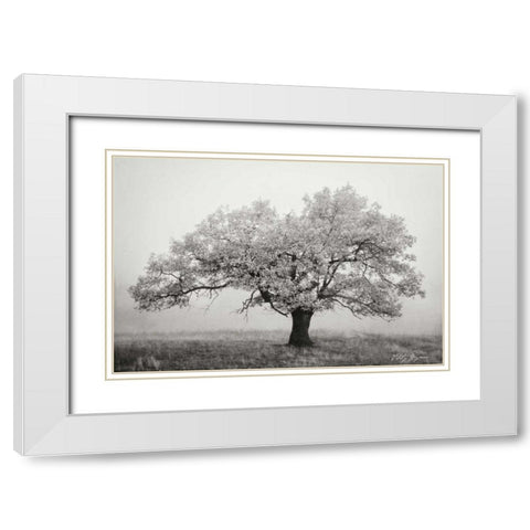 Misty V BandW White Modern Wood Framed Art Print with Double Matting by Geyman, Vitaly