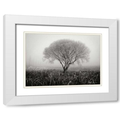 Tranquility III BandW White Modern Wood Framed Art Print with Double Matting by Geyman, Vitaly