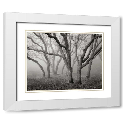Misty Dance BandW White Modern Wood Framed Art Print with Double Matting by Geyman, Vitaly