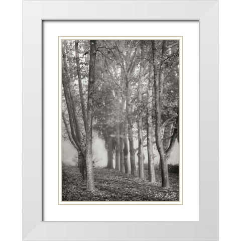 Tree Parade II BandW White Modern Wood Framed Art Print with Double Matting by Geyman, Vitaly