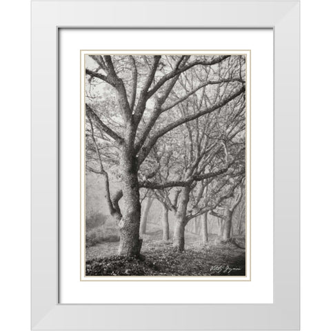 Tree in the Mist V BandW White Modern Wood Framed Art Print with Double Matting by Geyman, Vitaly