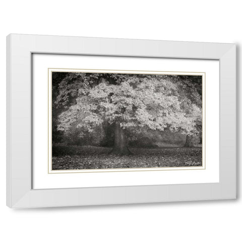 Autumn In Paris BandW White Modern Wood Framed Art Print with Double Matting by Geyman, Vitaly