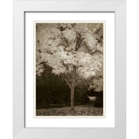 Fall Maple Fever VI White Modern Wood Framed Art Print with Double Matting by Geyman, Vitaly