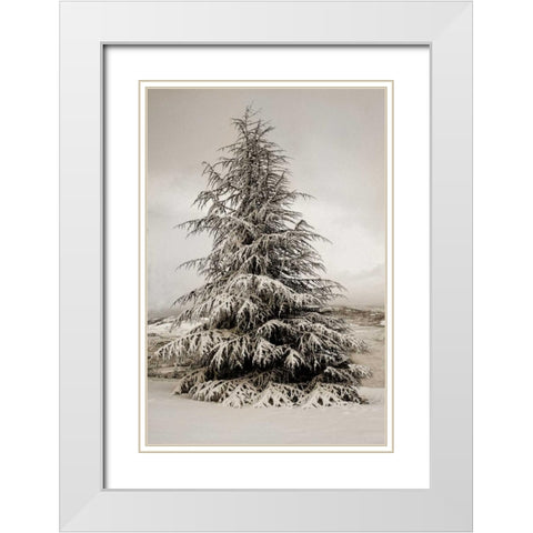 Snow White Pine White Modern Wood Framed Art Print with Double Matting by Geyman, Vitaly