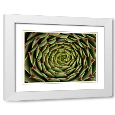 Floral Labyrinth I Color White Modern Wood Framed Art Print with Double Matting by Geyman, Vitaly